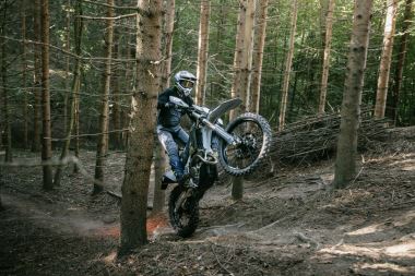 HUSQVARNA FE 350 PRO 2027 (56)