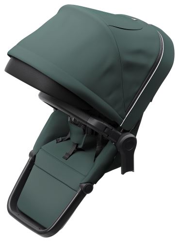 Thule Sleek sibling seat