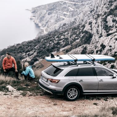 Thule DockGrip (5)