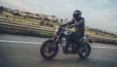 HUSQVARNA SVARTPILEN 801 2024 (16)