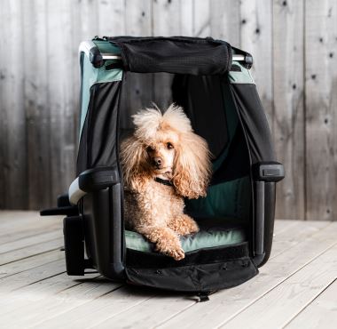 Thule Bexey M (7)