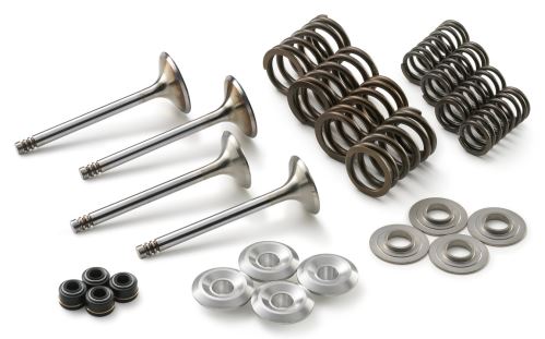 VALVE KIT 250 DUKE/RC