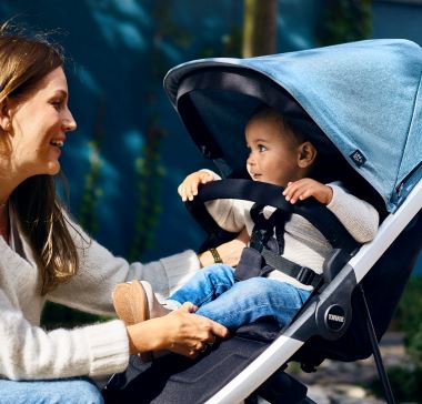 Thule Spring canopy (2)