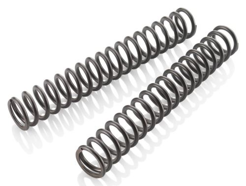 Fork spring set