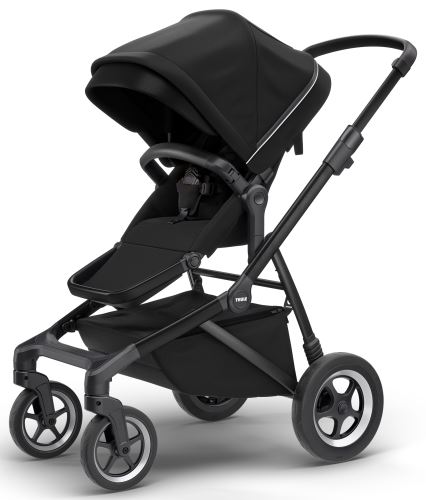 Thule Sleek